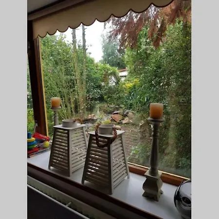 De Blauwe Reiger Mooi Dubbel In De Veluwse Bossen Chalet