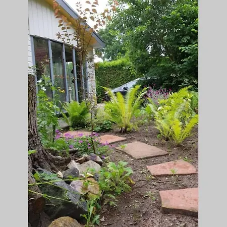 Chalet De Blauwe Reiger Mooi Dubbel In De Veluwse Bossen Putten