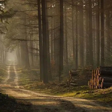 Chalet De Blauwe Reiger Mooi Dubbel In De Veluwse Bossen