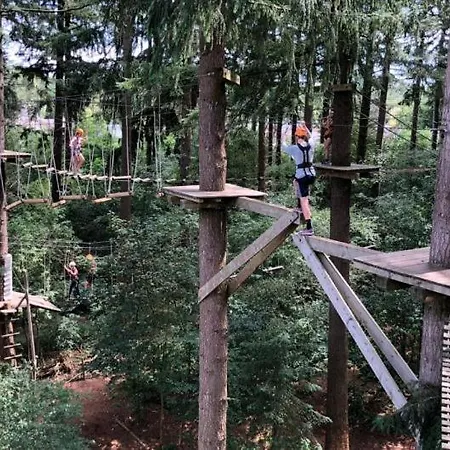 De Blauwe Reiger Mooi Dubbel In De Veluwse Bossen 푸텐
