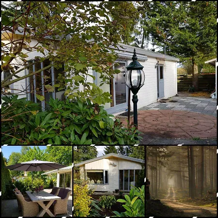 De Blauwe Reiger Mooi Dubbel In De Veluwse Bossen Chalet *