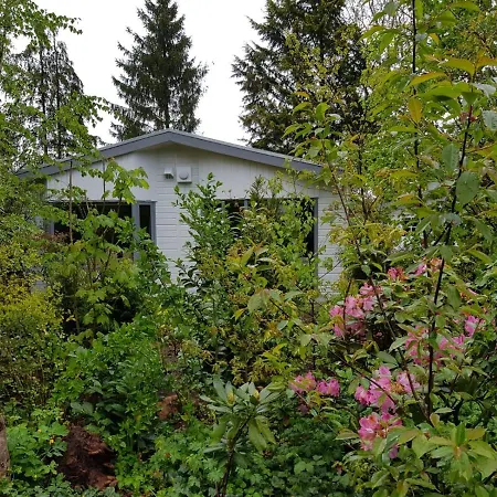Chalet De Blauwe Reiger Mooi Dubbel In De Veluwse Bossen
