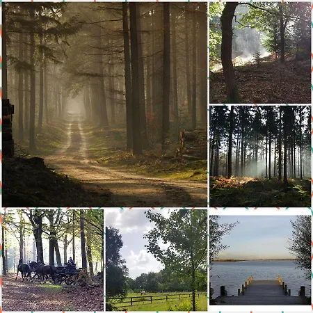 De Blauwe Reiger Mooi Dubbel In De Veluwse Bossen 샬레 푸텐