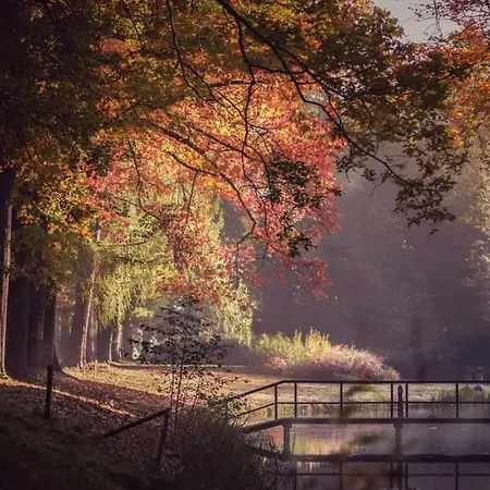 De Blauwe Reiger Mooi Dubbel In De Veluwse Bossen 샬레 푸텐