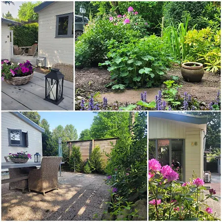 De Blauwe Reiger Mooi Dubbel In De Veluwse Bossen *