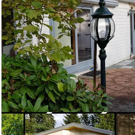 De Blauwe Reiger Mooi Dubbel In De Veluwse Bossen Chalet Putten
