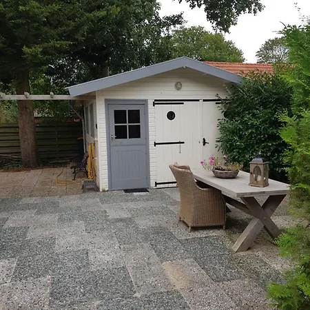 De Blauwe Reiger Mooi Dubbel In De Veluwse Bossen *