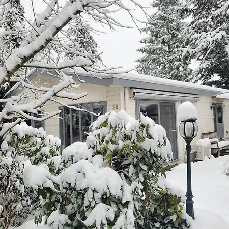 De Blauwe Reiger Mooi Dubbel In De Veluwse Bossen Putten