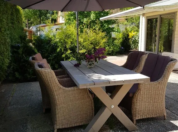 De Blauwe Reiger Mooi Dubbel In De Veluwse Bossen