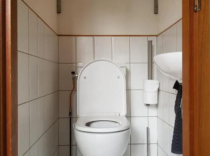 De Blauwe Reiger Mooi Dubbel In De Veluwse Bossen *