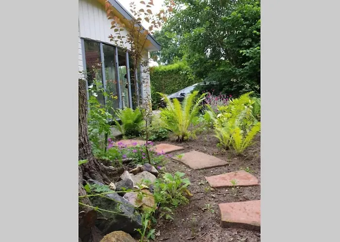 شاليه De Blauwe Reiger Mooi Dubbel In De Veluwse Bossen بوتِنْ