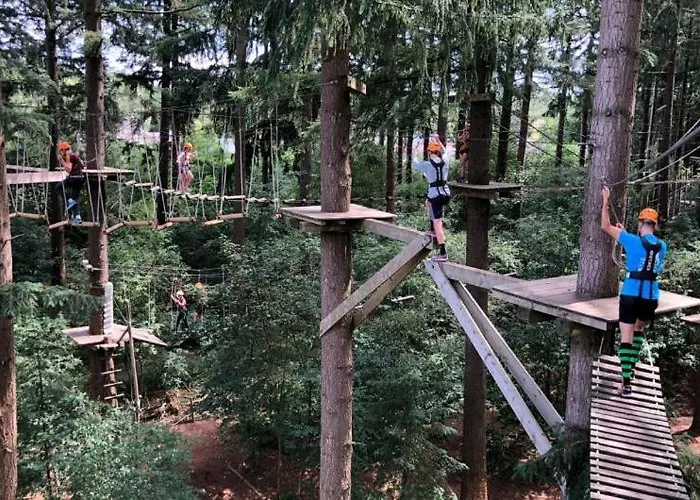 De Blauwe Reiger Mooi Dubbel In De Veluwse Bossen Пюттен