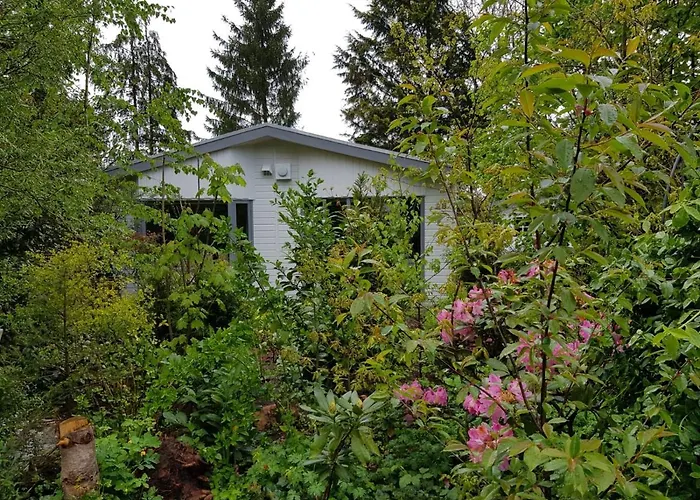Шале De Blauwe Reiger Mooi Dubbel In De Veluwse Bossen