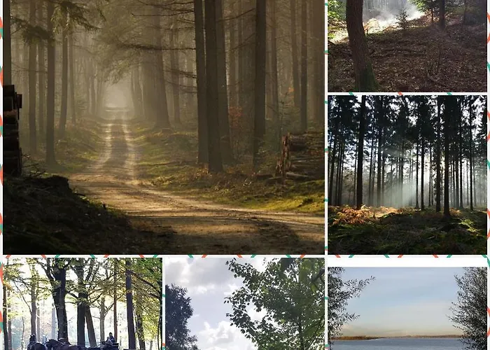 De Blauwe Reiger Mooi Dubbel In De Veluwse Bossen Шале Пюттен