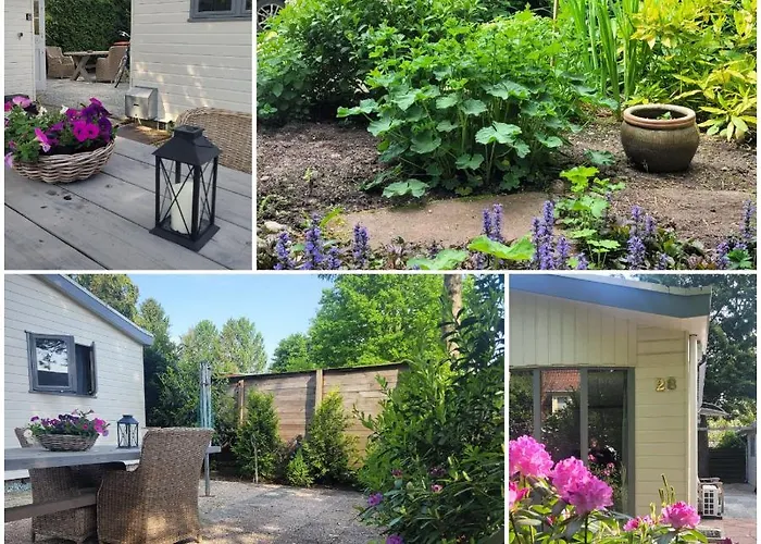 De Blauwe Reiger Mooi Dubbel In De Veluwse Bossen *