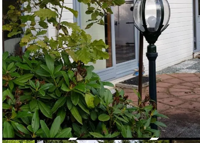 De Blauwe Reiger Mooi Dubbel In De Veluwse Bossen Шале Пюттен