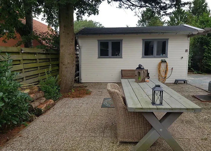 شاليه De Blauwe Reiger Mooi Dubbel In De Veluwse Bossen