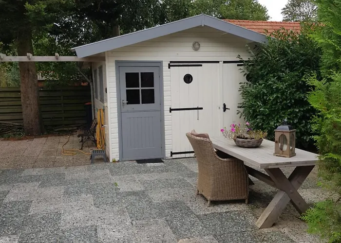 De Blauwe Reiger Mooi Dubbel In De Veluwse Bossen *