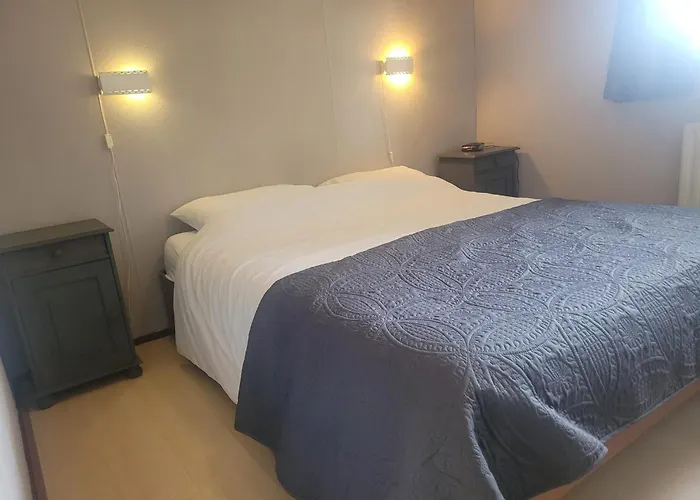 De Blauwe Reiger Mooi Dubbel In De Veluwse Bossen *