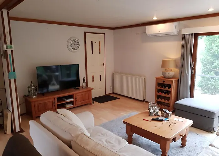 De Blauwe Reiger Mooi Dubbel In De Veluwse Bossen Пюттен