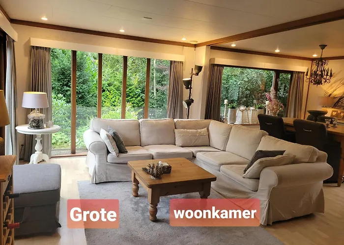 De Blauwe Reiger Mooi Dubbel In De Veluwse Bossen