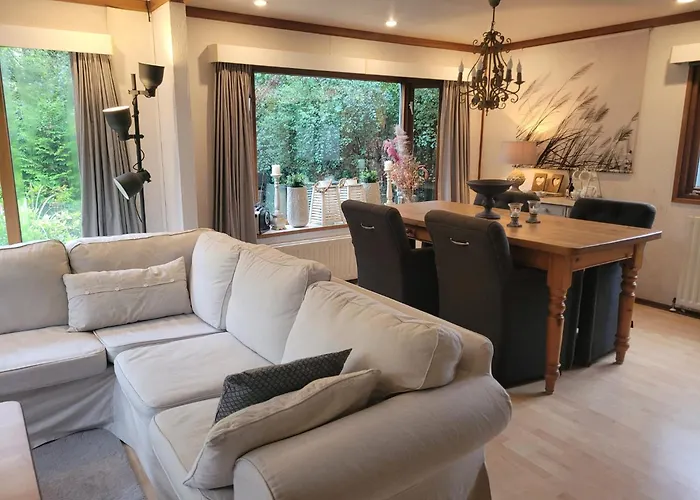 De Blauwe Reiger Mooi Dubbel In De Veluwse Bossen