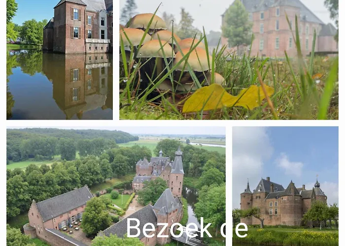 De Blauwe Reiger Mooi Dubbel In De Veluwse Bossen بوتِنْ