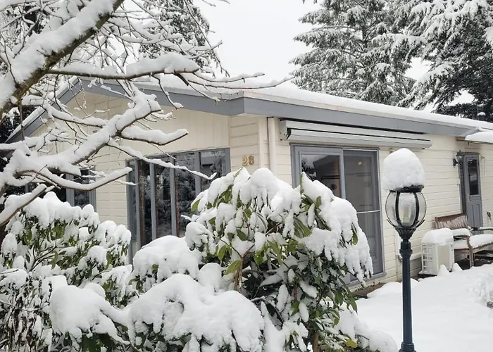 De Blauwe Reiger Mooi Dubbel In De Veluwse Bossen Пюттен