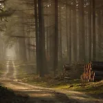 Шале De Blauwe Reiger Mooi Dubbel In De Veluwse Bossen