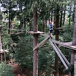 De Blauwe Reiger Mooi Dubbel In De Veluwse Bossen Пюттен