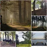 De Blauwe Reiger Mooi Dubbel In De Veluwse Bossen Шале Пюттен