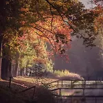 De Blauwe Reiger Mooi Dubbel In De Veluwse Bossen Шале Пюттен